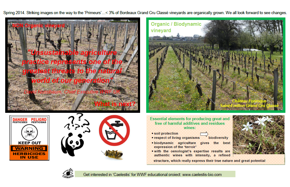 Primeurs 2014 - impact of viticulture